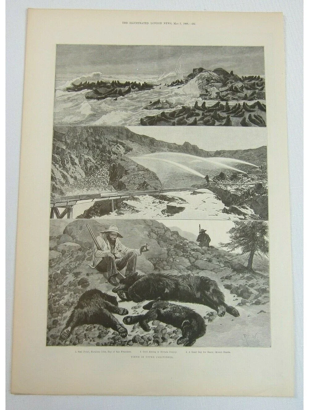 Antique 1888 Print 